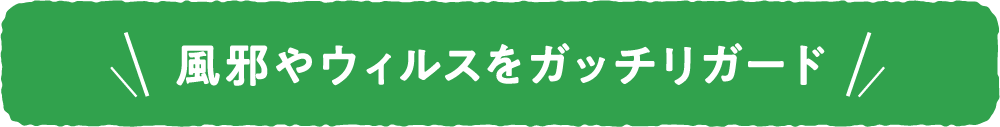 風邪やウイルスをがっちりガード