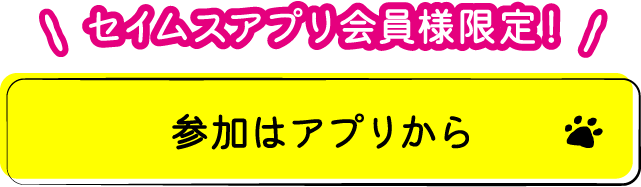参加はアプリから