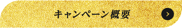 キャンペーン概要