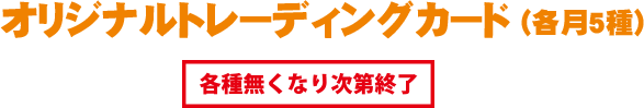 オリジナルトレーディングカード(各月5種) 各種無くなり次第終了