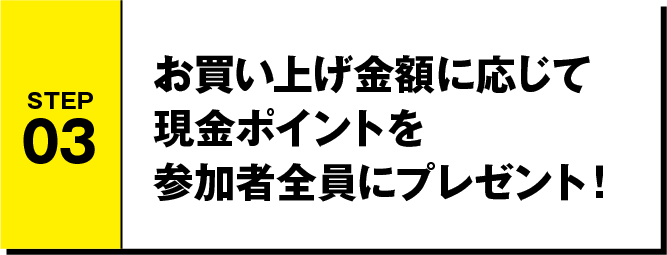 STEP03