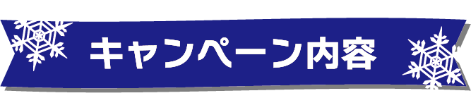 キャンペーン内容