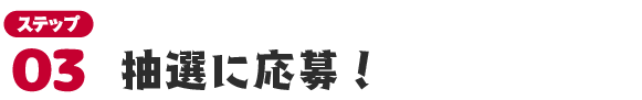 STEP03