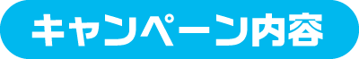 キャンペーン内容