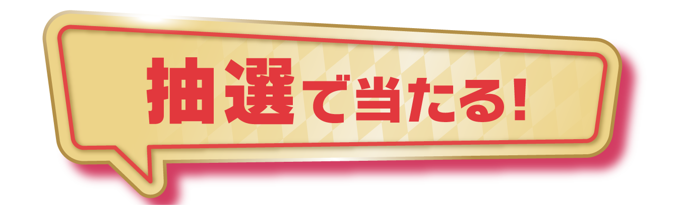 応募キャンペーン