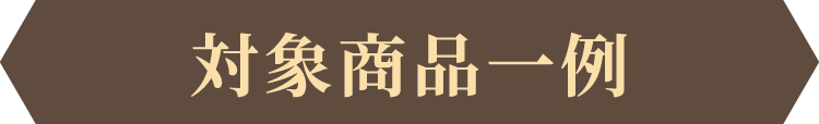 対象商品一例