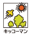 キッコーマンソイフーズ